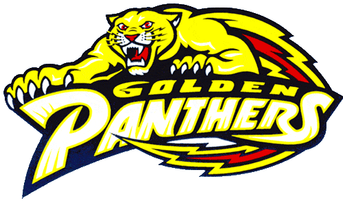 FIU Panthers 1994-2000 Primary Logo iron on transfers for fabric
